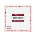 Princess Diaries You Are Amelia Mignonette Thermopolis Renaldi Princess of Genovia Needlepoint Canvas
